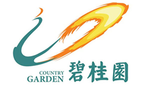 南京欧格协作火伴 - 碧桂园